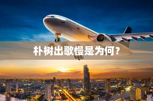 朴树出歌慢是为何？