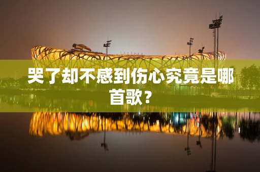 哭了却不感到伤心究竟是哪首歌？