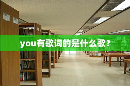 you有歌词的是什么歌？