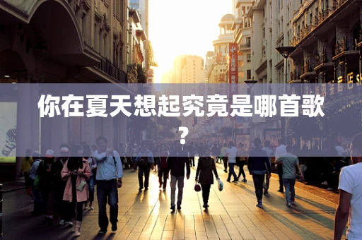 你在夏天想起究竟是哪首歌？