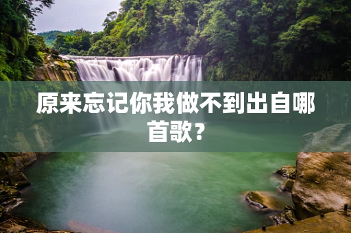 原来忘记你我做不到出自哪首歌？