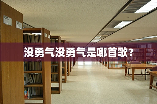 没勇气没勇气是哪首歌？