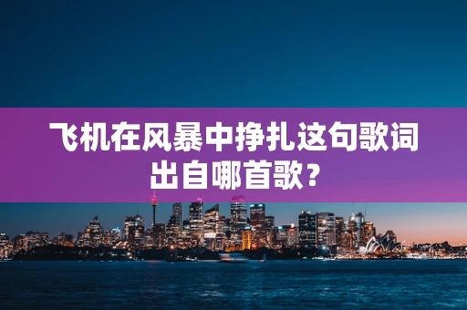 飞机在风暴中挣扎这句歌词出自哪首歌？