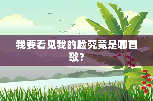 我要看见我的脸究竟是哪首歌？