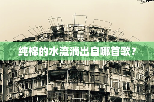 纯棉的水流淌出自哪首歌？