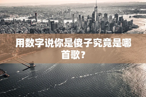用数字说你是傻子究竟是哪首歌？