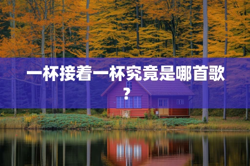 一杯接着一杯究竟是哪首歌？
