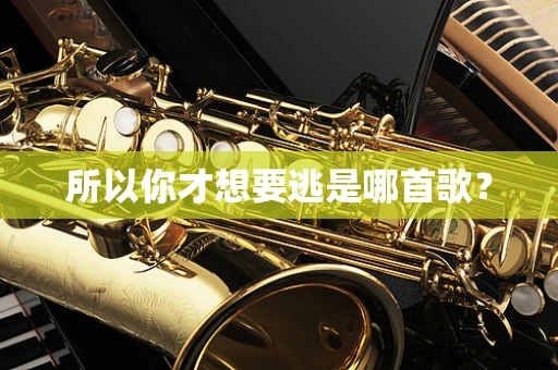 所以你才想要逃是哪首歌？