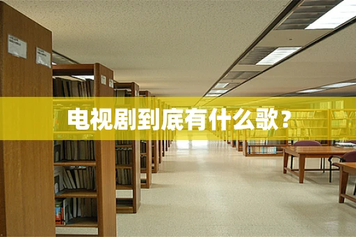 电视剧到底有什么歌？
