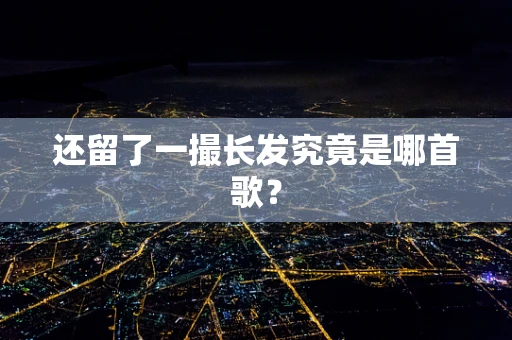 还留了一撮长发究竟是哪首歌？