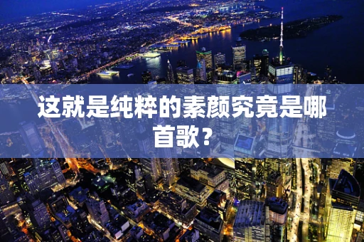 这就是纯粹的素颜究竟是哪首歌？