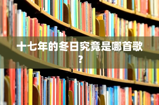 十七年的冬日究竟是哪首歌？