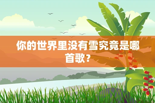 你的世界里没有雪究竟是哪首歌？