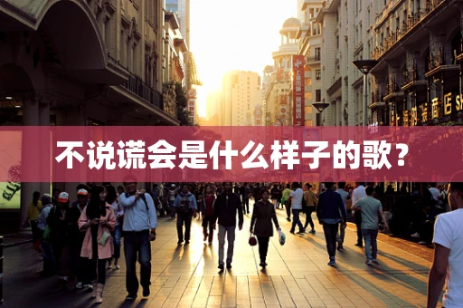 不说谎会是什么样子的歌？