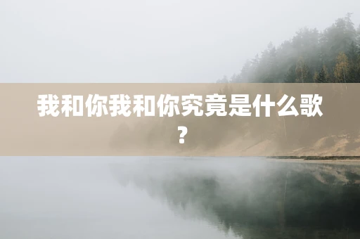 我和你我和你究竟是什么歌？