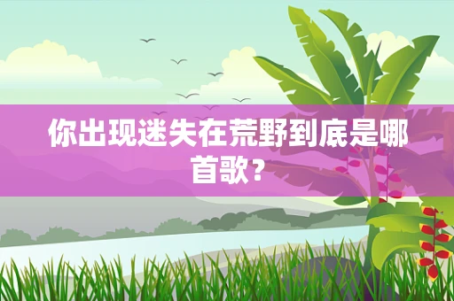 你出现迷失在荒野到底是哪首歌？