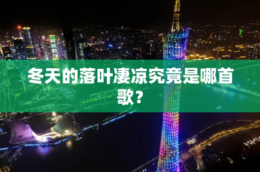 冬天的落叶凄凉究竟是哪首歌？