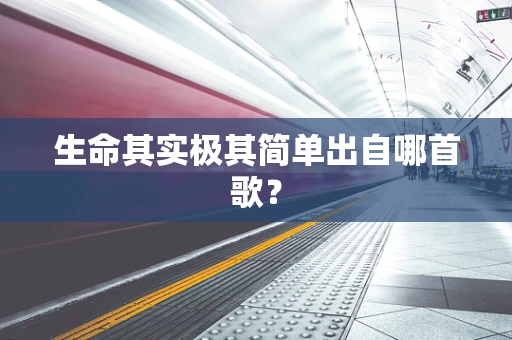 生命其实极其简单出自哪首歌？