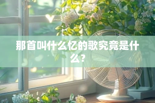 那首叫什么忆的歌究竟是什么？
