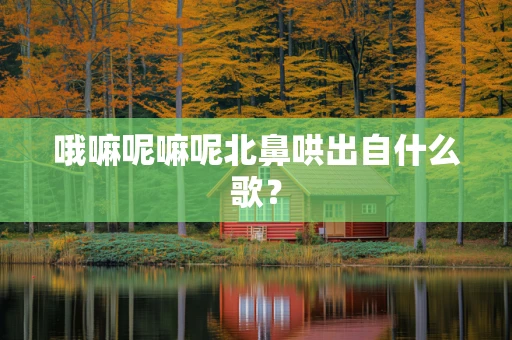 哦嘛呢嘛呢北鼻哄出自什么歌？