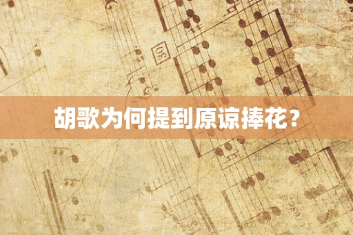 胡歌为何提到原谅捧花？