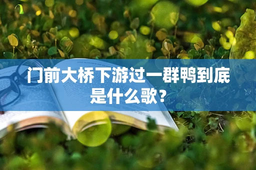 门前大桥下游过一群鸭到底是什么歌？