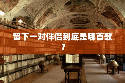 留下一对伴侣到底是哪首歌？