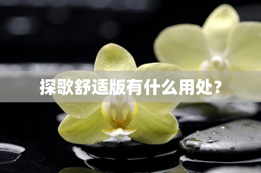 探歌舒适版有什么用处？