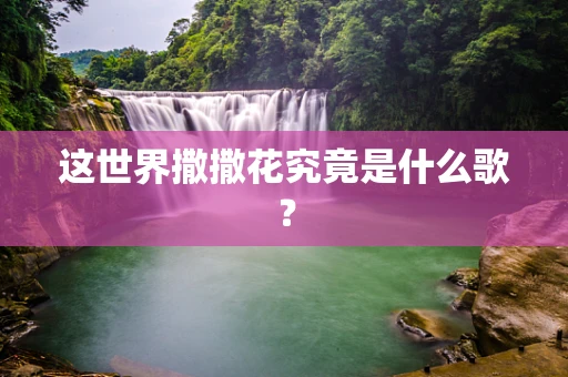 这世界撒撒花究竟是什么歌？