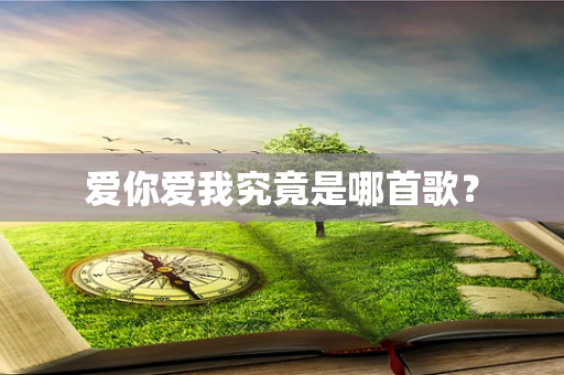 爱你爱我究竟是哪首歌？