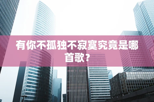 有你不孤独不寂寞究竟是哪首歌？