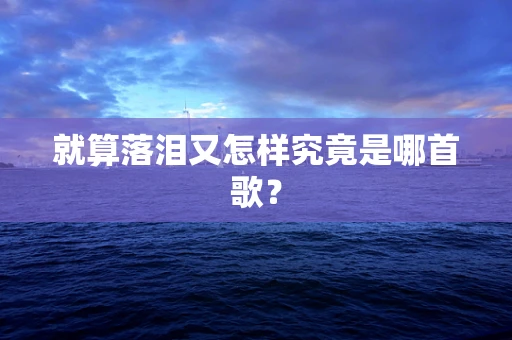 就算落泪又怎样究竟是哪首歌？