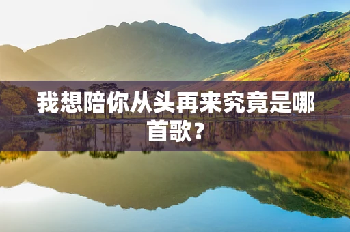 我想陪你从头再来究竟是哪首歌？