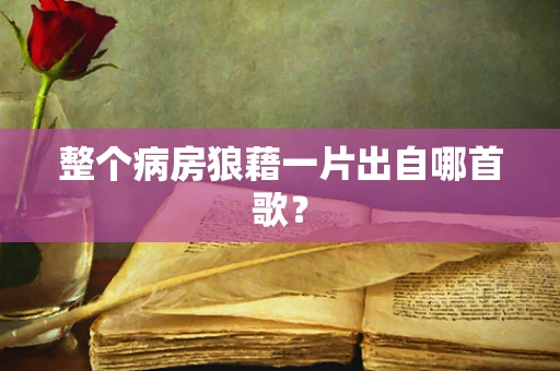 整个病房狼藉一片出自哪首歌？