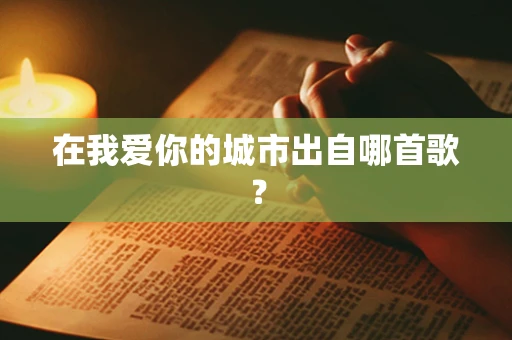 在我爱你的城市出自哪首歌？