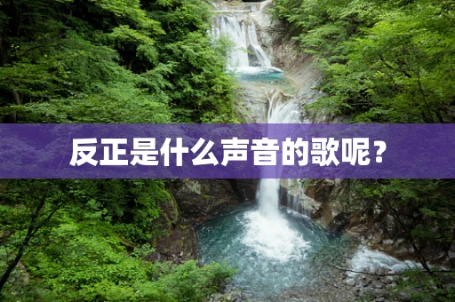 反正是什么声音的歌呢？