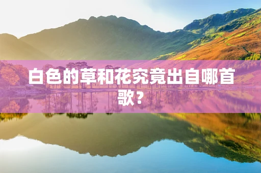 白色的草和花究竟出自哪首歌？