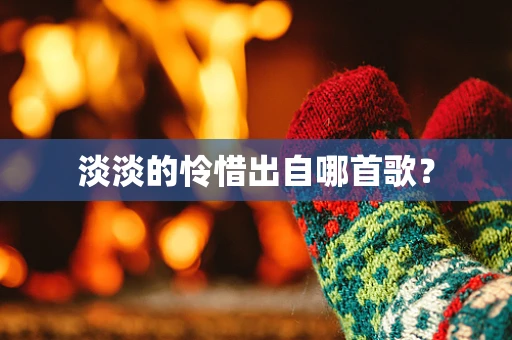 淡淡的怜惜出自哪首歌？