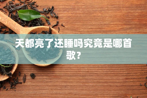 天都亮了还睡吗究竟是哪首歌？