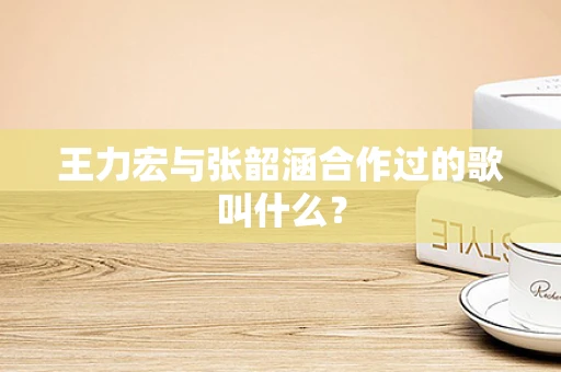 王力宏与张韶涵合作过的歌叫什么？