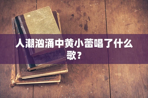 人潮汹涌中黄小蕾唱了什么歌？