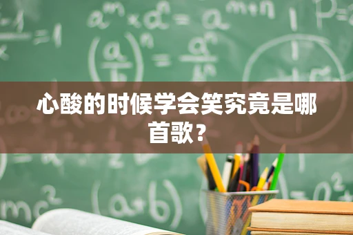 心酸的时候学会笑究竟是哪首歌？