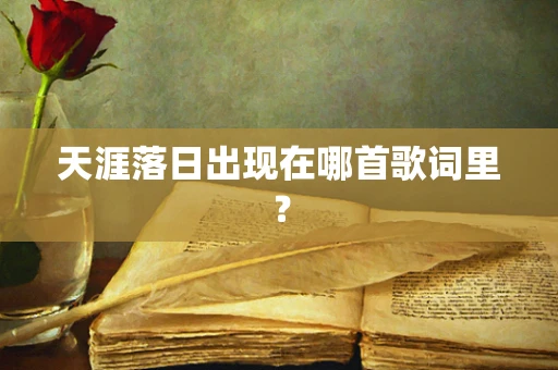 天涯落日出现在哪首歌词里？