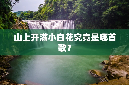 山上开满小白花究竟是哪首歌？