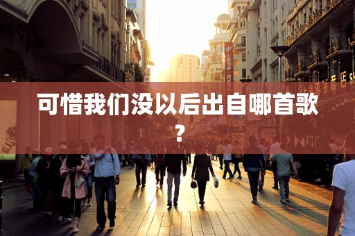 可惜我们没以后出自哪首歌？
