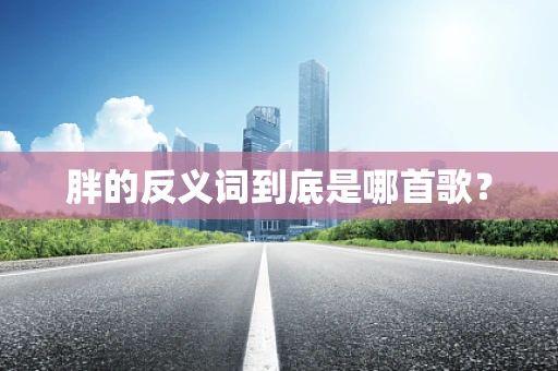 胖的反义词到底是哪首歌？