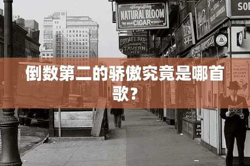 倒数第二的骄傲究竟是哪首歌？