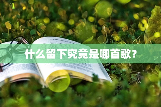 什么留下究竟是哪首歌？