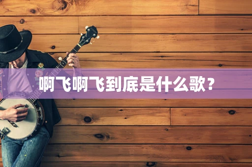 啊飞啊飞到底是什么歌？