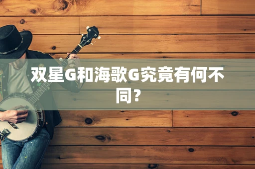 双星G和海歌G究竟有何不同？